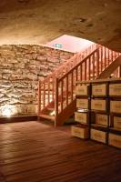 Michelle NORMA MICHELLE RAMIREZ FONTES - NMRF ARCHITECTE